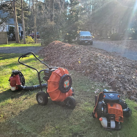 Fall Cleanup Timing in RI: When Leaf Removal Helps (and When It Hurts) Your Lawn Thumbnail