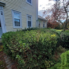 Beautifully-Trimmed-Professional-Shrub-Care-in-Exeter-RI-by-Qs-Quality-Lawn-Care-LLC 22