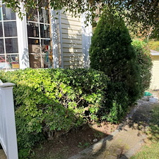 Beautifully-Trimmed-Professional-Shrub-Care-in-Exeter-RI-by-Qs-Quality-Lawn-Care-LLC 17