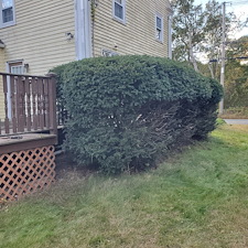 Beautifully-Trimmed-Professional-Shrub-Care-in-Exeter-RI-by-Qs-Quality-Lawn-Care-LLC 7