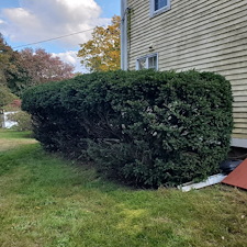 Beautifully-Trimmed-Professional-Shrub-Care-in-Exeter-RI-by-Qs-Quality-Lawn-Care-LLC 10