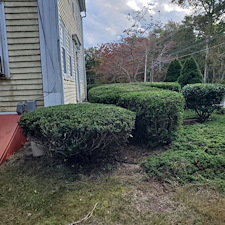 Beautifully-Trimmed-Professional-Shrub-Care-in-Exeter-RI-by-Qs-Quality-Lawn-Care-LLC 8