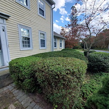 Beautifully-Trimmed-Professional-Shrub-Care-in-Exeter-RI-by-Qs-Quality-Lawn-Care-LLC 4