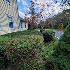 Beautifully-Trimmed-Professional-Shrub-Care-in-Exeter-RI-by-Qs-Quality-Lawn-Care-LLC 5