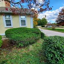 Beautifully-Trimmed-Professional-Shrub-Care-in-Exeter-RI-by-Qs-Quality-Lawn-Care-LLC 6