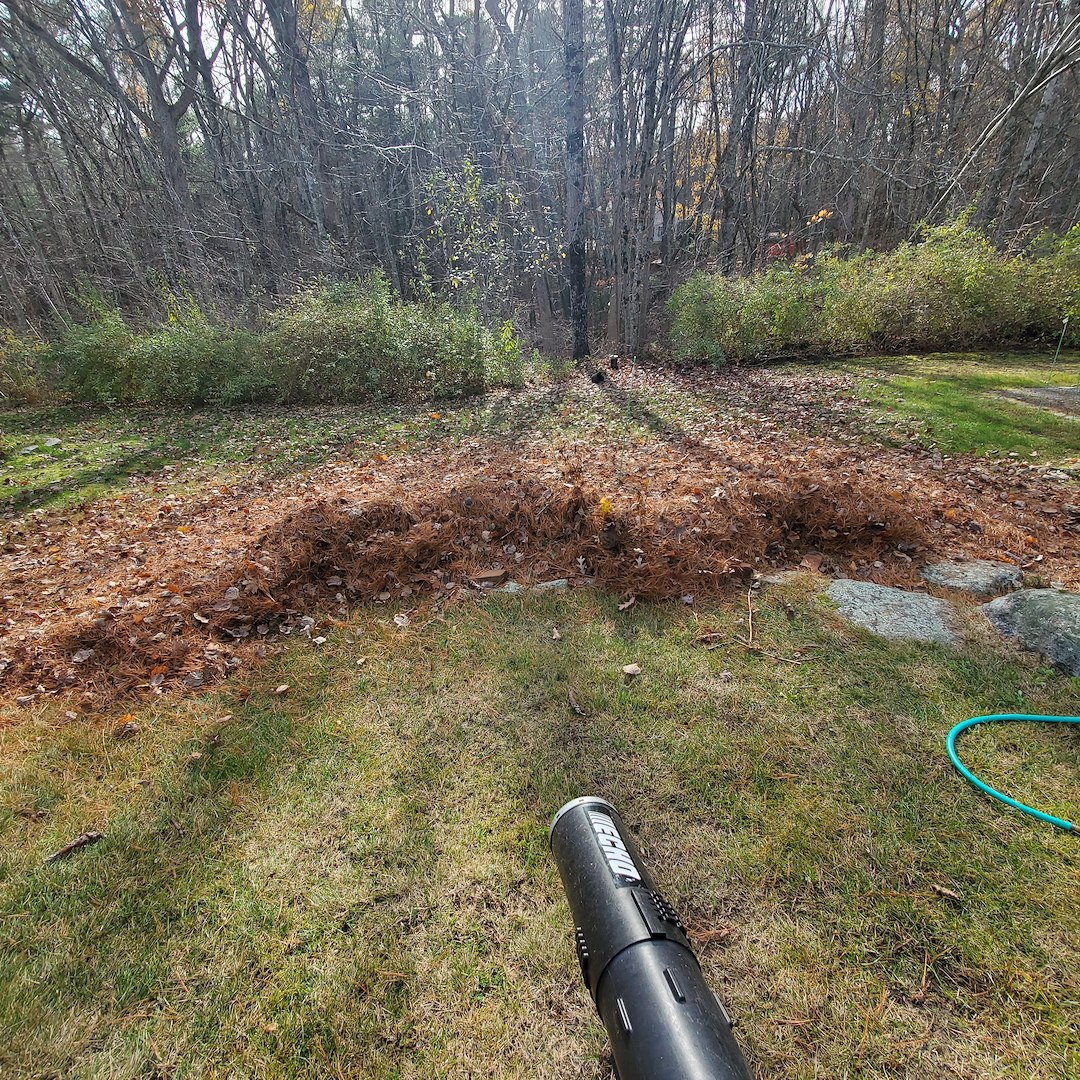 Fall Cleanup Services by Q's Quality Lawn Care, LLC: Preparing Your Landscape for Winter in Coventry, RI Thumbnail