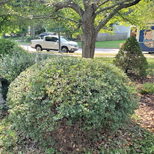 Quality-Shrub-and-Bush-Trimming-Services-in-Coventry-RI-by-Qs-Quality-Lawn-Care-LLC 17