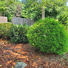 Quality-Shrub-and-Bush-Trimming-Services-in-Coventry-RI-by-Qs-Quality-Lawn-Care-LLC 14