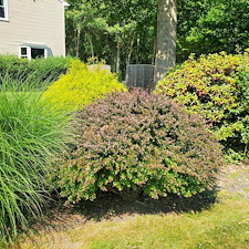 Quality-Shrub-and-Bush-Trimming-Services-in-Coventry-RI-by-Qs-Quality-Lawn-Care-LLC 9