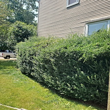 Quality-Shrub-and-Bush-Trimming-Services-in-Coventry-RI-by-Qs-Quality-Lawn-Care-LLC 10