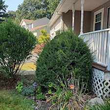 Quality-Shrub-and-Bush-Trimming-Services-in-Coventry-RI-by-Qs-Quality-Lawn-Care-LLC 13