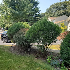 Quality-Shrub-and-Bush-Trimming-Services-in-Coventry-RI-by-Qs-Quality-Lawn-Care-LLC 12