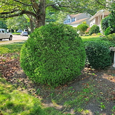 Quality-Shrub-and-Bush-Trimming-Services-in-Coventry-RI-by-Qs-Quality-Lawn-Care-LLC 5