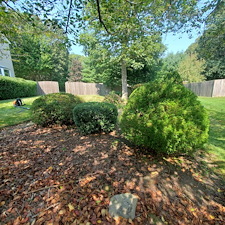 Quality-Shrub-and-Bush-Trimming-Services-in-Coventry-RI-by-Qs-Quality-Lawn-Care-LLC 1