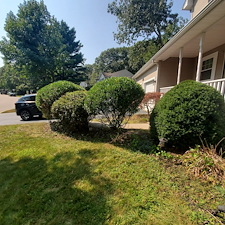 Quality-Shrub-and-Bush-Trimming-Services-in-Coventry-RI-by-Qs-Quality-Lawn-Care-LLC 2