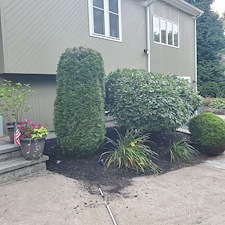 Transforming-Outdoor-Spaces-Expert-Bush-Trimming-by-Qs-Quality-Lawn-Care-LLC-in-Cranston-RI 11