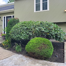 Transforming-Outdoor-Spaces-Expert-Bush-Trimming-by-Qs-Quality-Lawn-Care-LLC-in-Cranston-RI 19