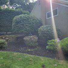 Transforming-Outdoor-Spaces-Expert-Bush-Trimming-by-Qs-Quality-Lawn-Care-LLC-in-Cranston-RI 16