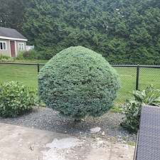 Transforming-Outdoor-Spaces-Expert-Bush-Trimming-by-Qs-Quality-Lawn-Care-LLC-in-Cranston-RI 0