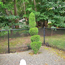 Transforming-Outdoor-Spaces-Expert-Bush-Trimming-by-Qs-Quality-Lawn-Care-LLC-in-Cranston-RI 2