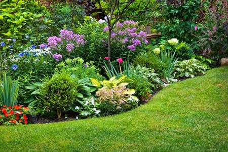 Flower Bed Edging