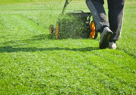 Lawn Mowing Thumbnail