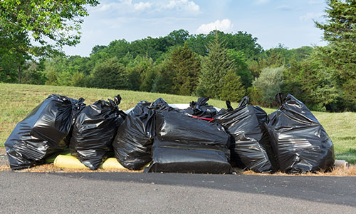 Spring Cleanup Checklist for Coventry Yards: What to Remove, Cut Back, and Refresh Thumbnail